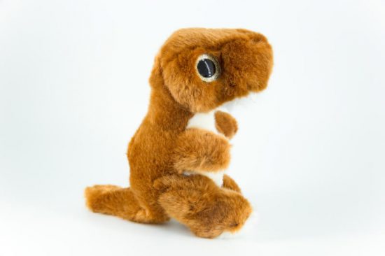 T-rex plush - Image 2
