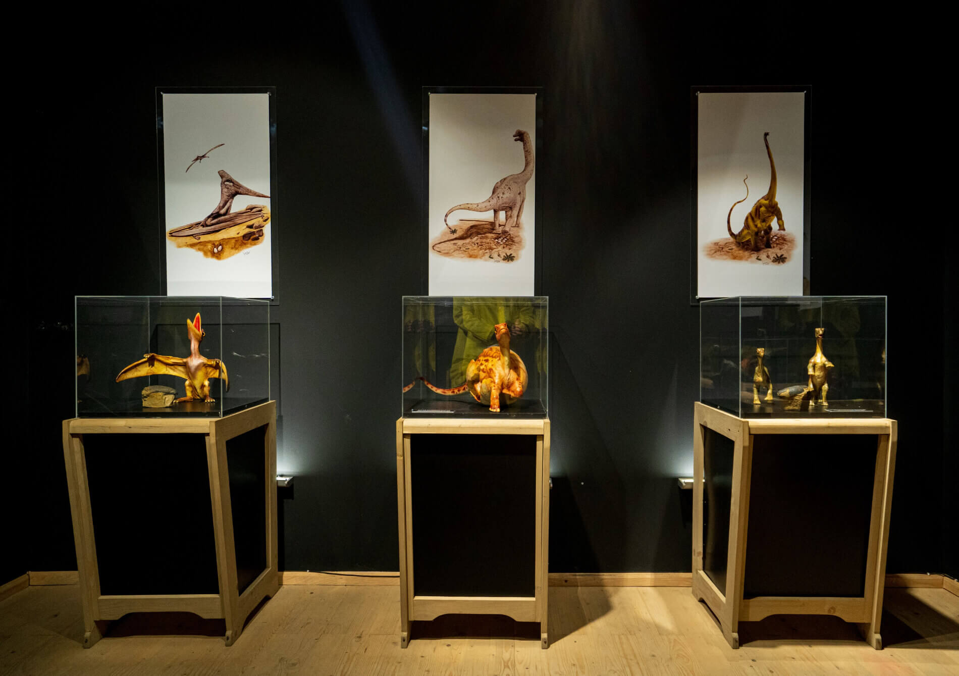 Tree Houses Exhibitions