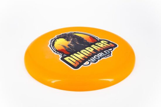 Frisbee - imagine 7
